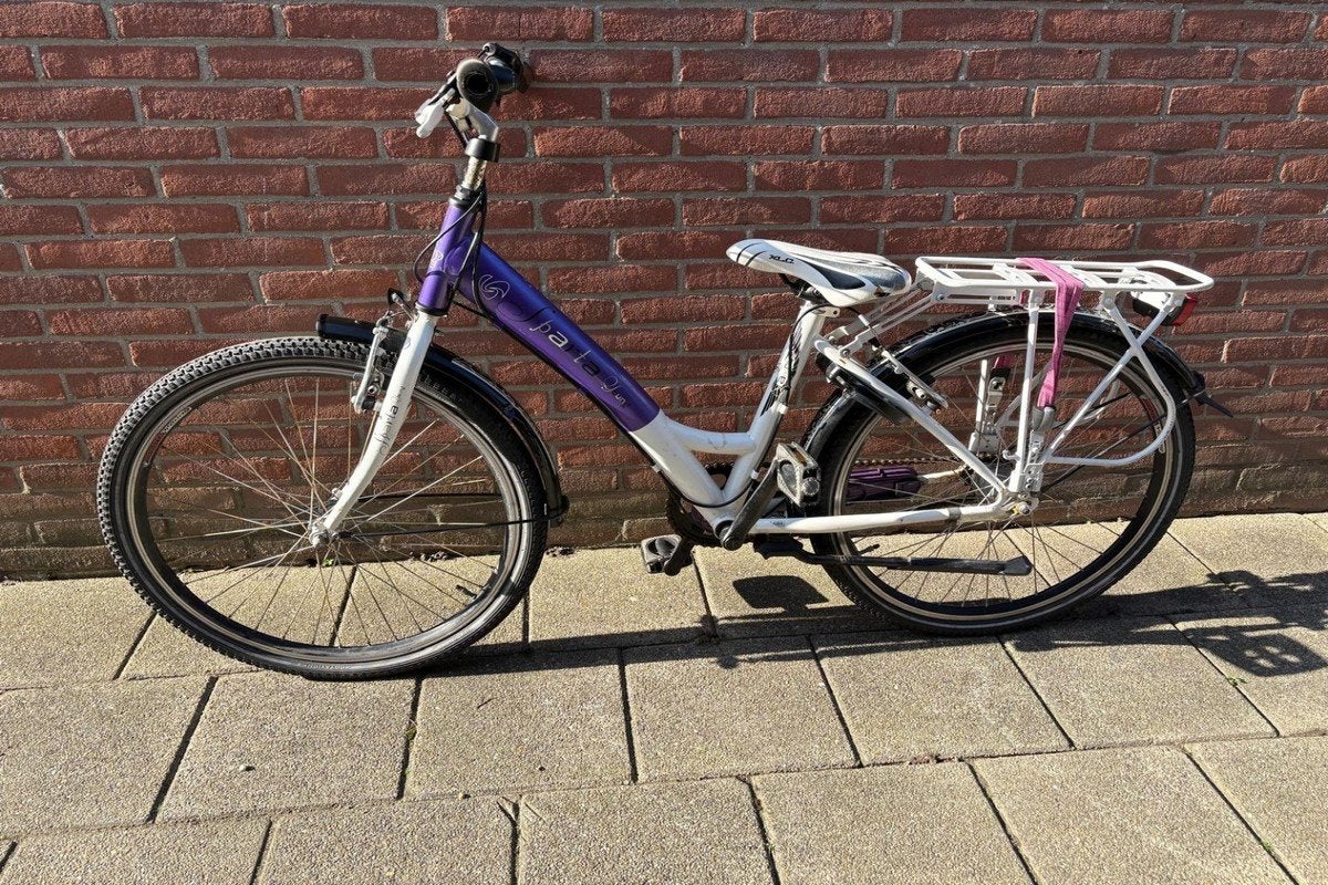 Sparta Meisjesfiets 24 Inch Paars Wit, Ophalen, Terugtraprem, Sparta, Handrem