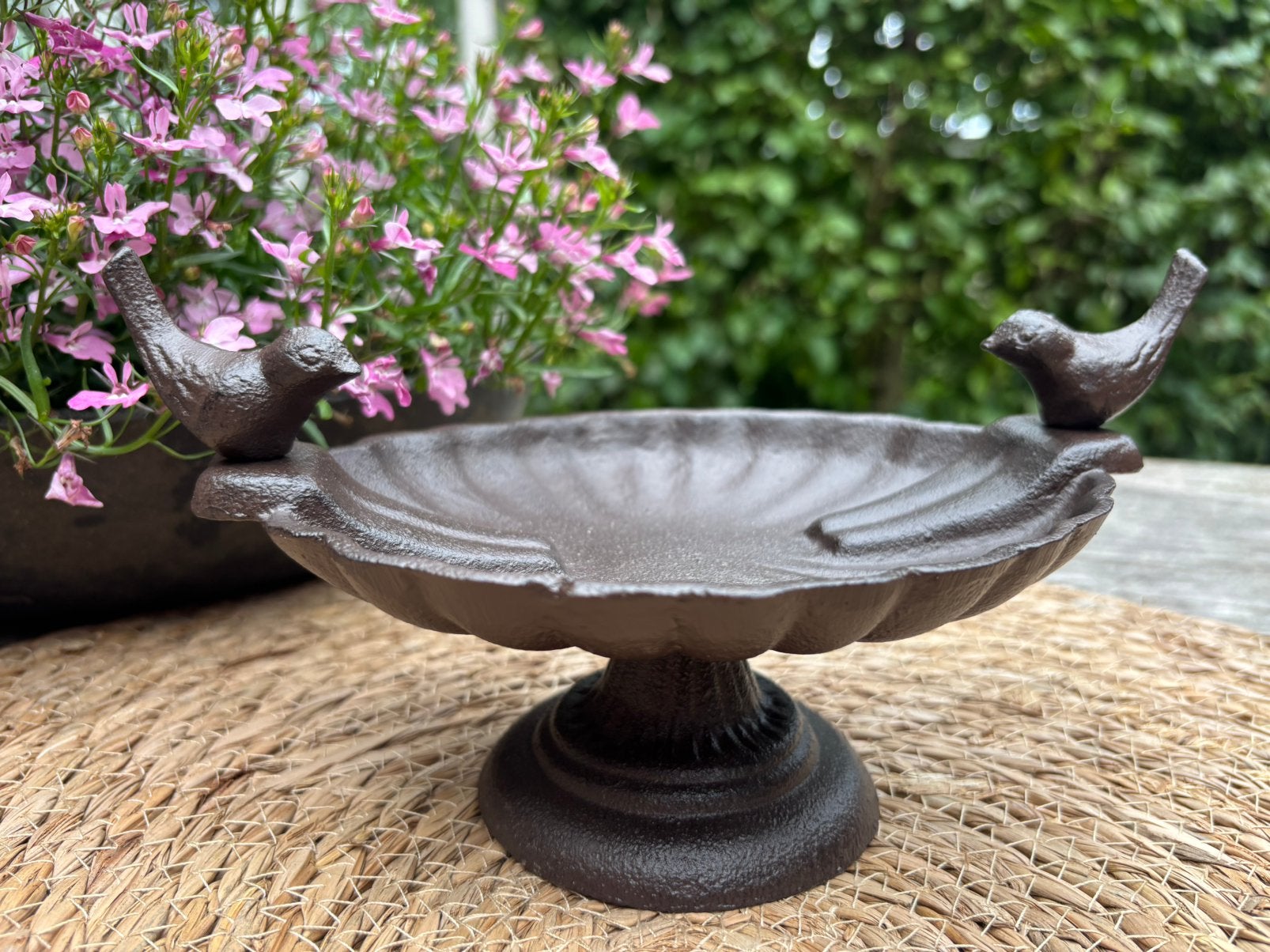 Voederschaal, Tuin en Terras, Vogelhuisjes en Vogelbaden, Ophalen of Verzenden, Nieuw
