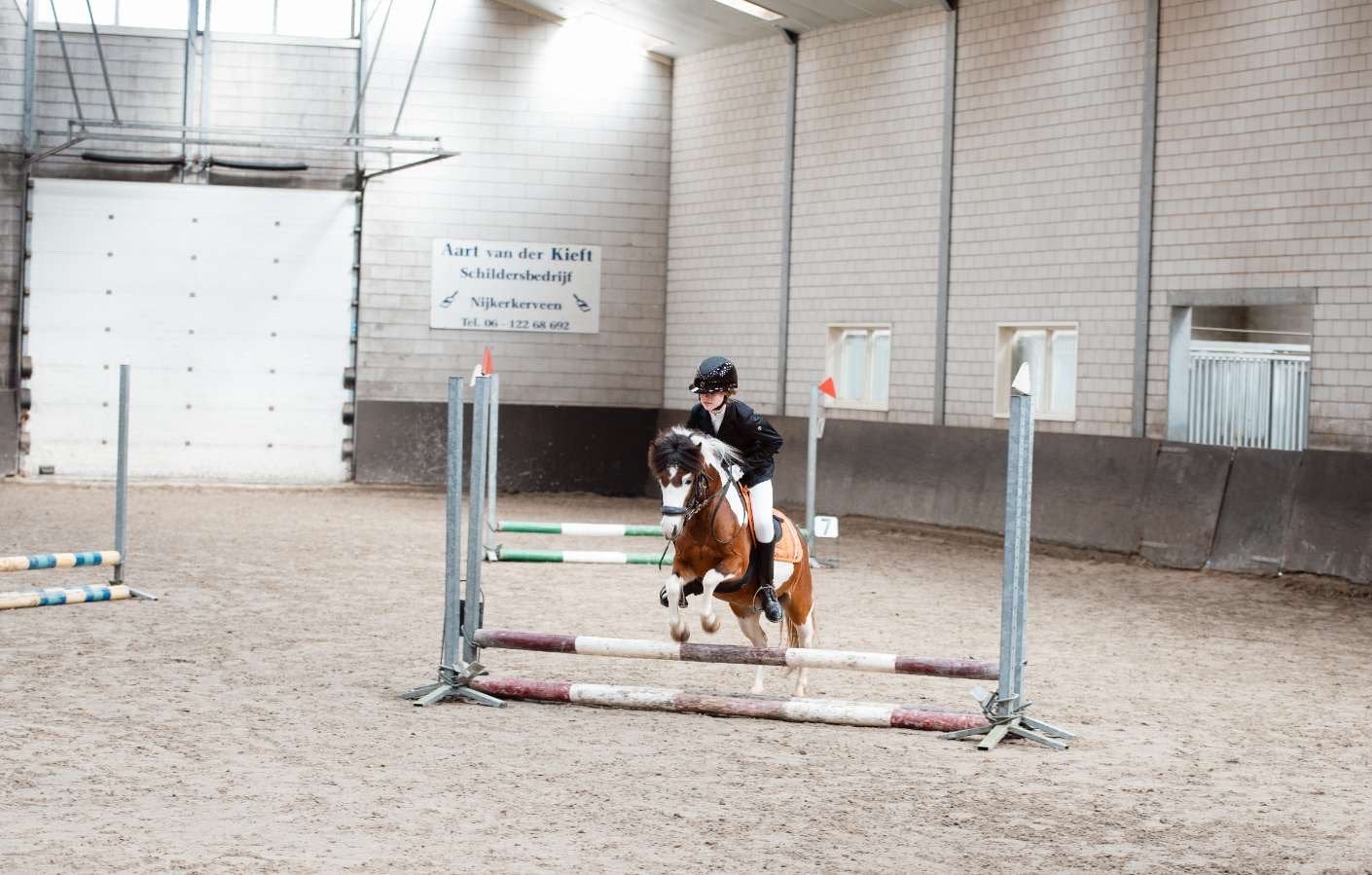 Verzorgpony gezocht, Ophalen