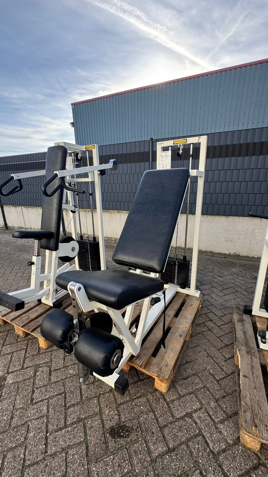Technogym isotonic Leg Extension, Ophalen, Gebruikt, Overige typen