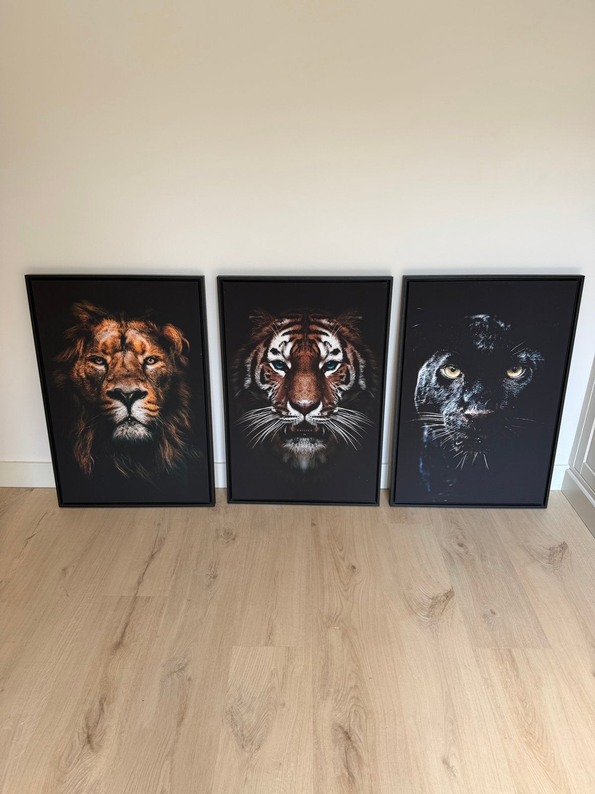 Set van 3 Dierenprints: Leeuw, Tijger en Zwarte Panter, Ophalen, 75 – 100, 50 tot 75 cm, Print