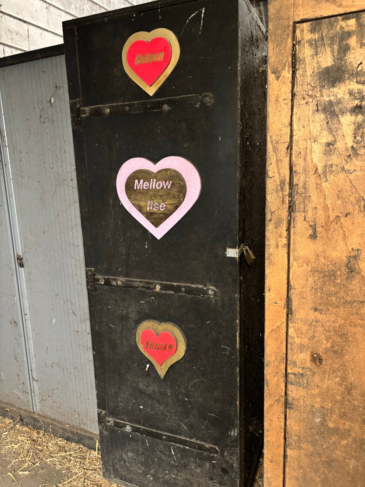 Mooie ruime zadelkast, Ophalen, Dressuur