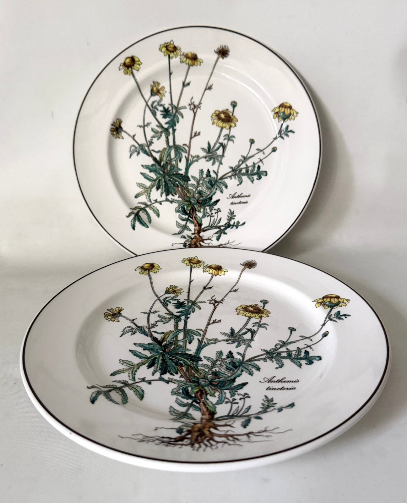 Villeroy & Boch - Botanica groot plat bord *vintage*design*, Villeroy & Boch, Nieuw, Ophalen of Verzenden, Bord(en)