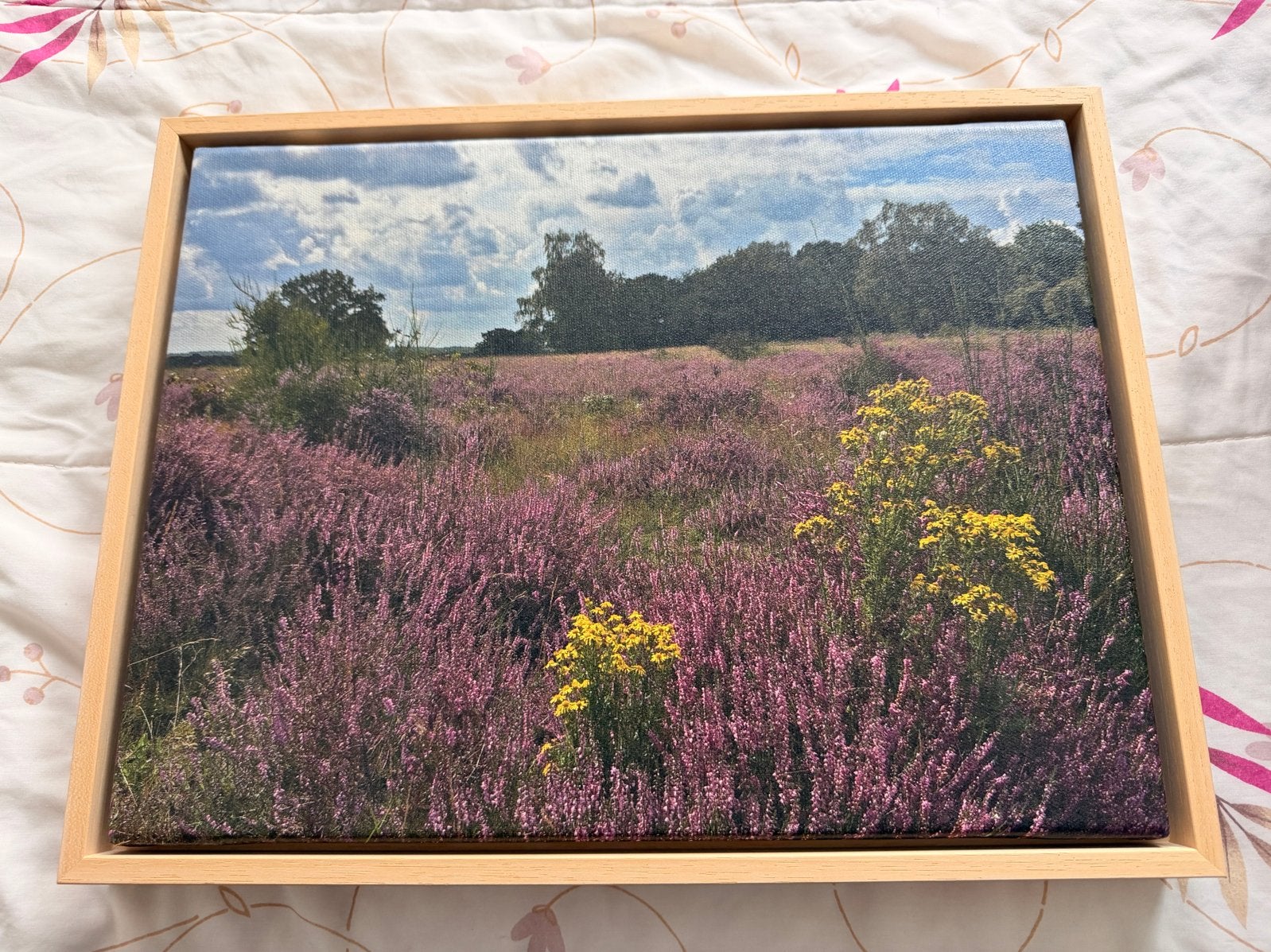 Canvas van Larense heide - Prachtige natuurfoto, 50 – 75, Ophalen of Verzenden, 50 tot 75 cm, Print