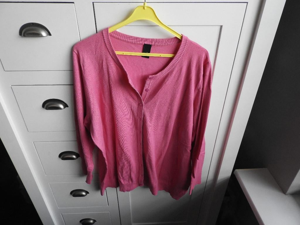 Dames vest. Maat 46/48, Maat 46/48 (XL) of groter, Adia Fashion, Ophalen of Verzenden, Zo goed als nieuw