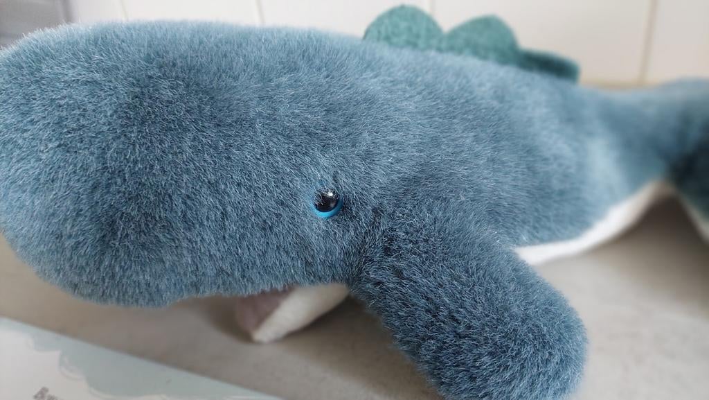 De kleine walvis en Moby Dick met knuffel, Ophalen of Verzenden, Zo goed als nieuw, Prentenboek