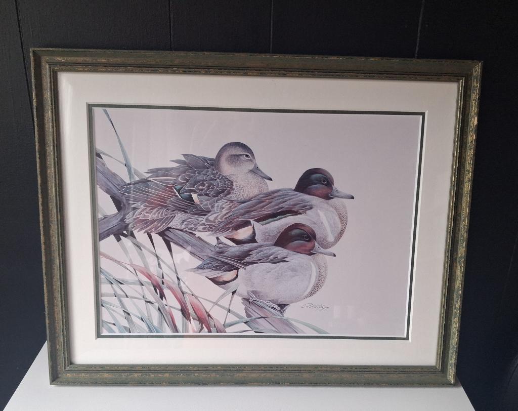 Poster met Lijst Vogels, Minder dan 50 cm, Gebruikt, Ophalen of Verzenden, Minder dan 50 cm
