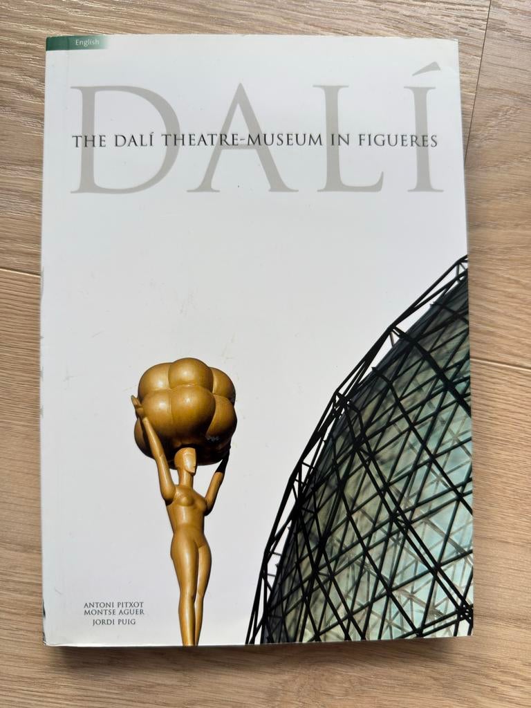 Dali: The Dali Theatre-Museum in Figueres, Ophalen of Verzenden, Zo goed als nieuw, Stijl of Stroming