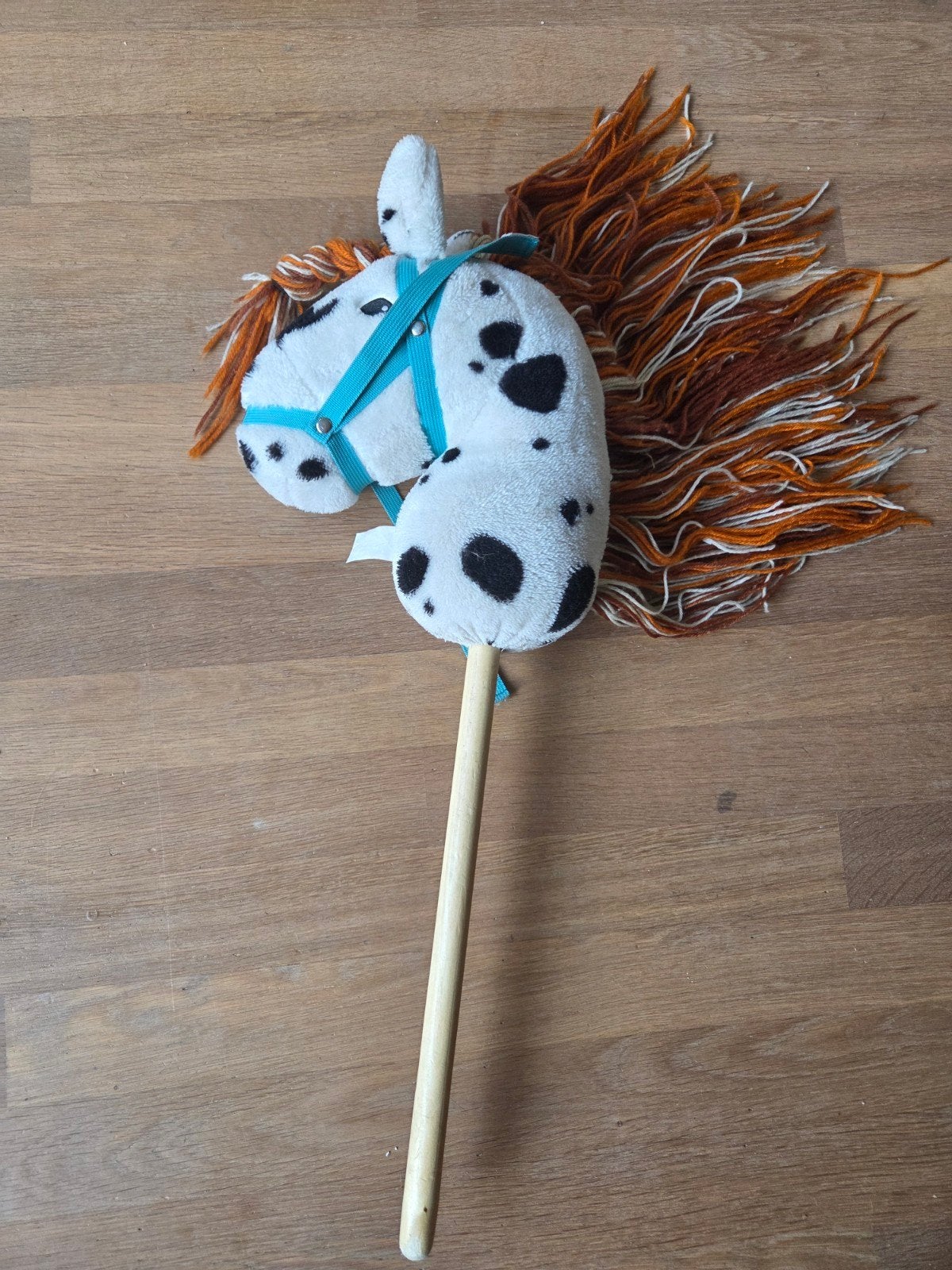 stip de pony, Ophalen, Paard