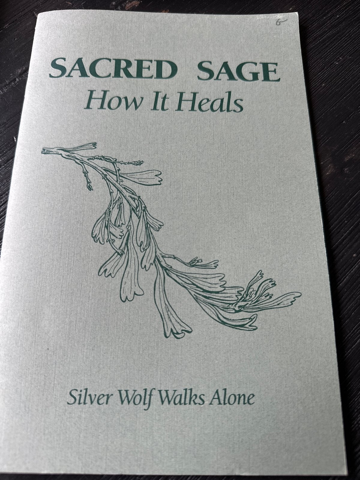 Sacred Sage: How It Heals - Spirituele Gids, Boeken, Ophalen of Verzenden, Gelezen, Spiritualiteit algemeen, Achtergrond en Informatie