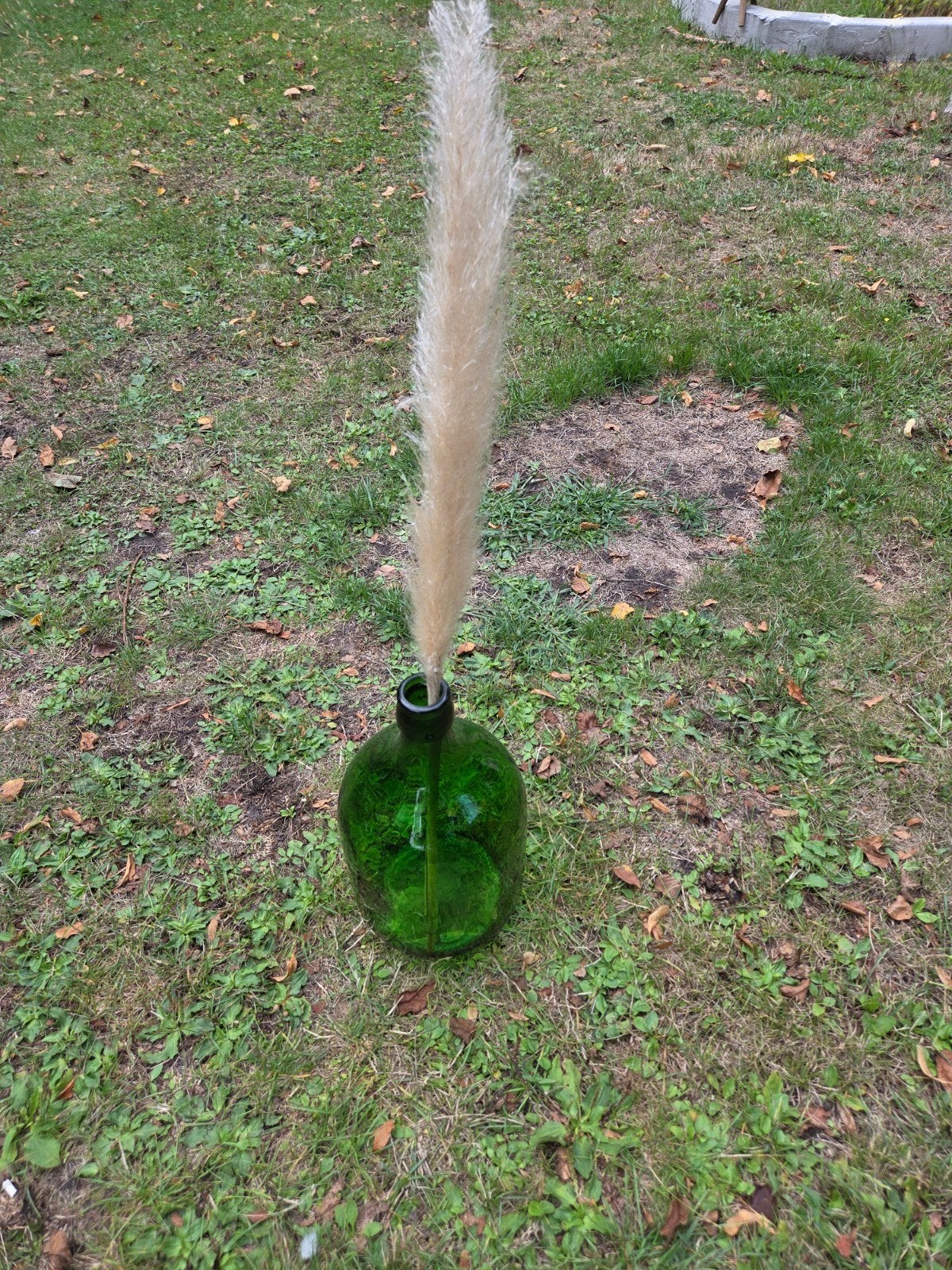 Vintage gistfles/Dame Jeanne groen 5l, Ophalen, Gebruikt, 35 cm, Glas