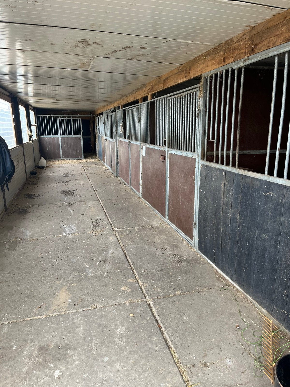 Paardenstallen te huur, Dieren en Toebehoren, Stalling, 4 paarden of pony's of meer
