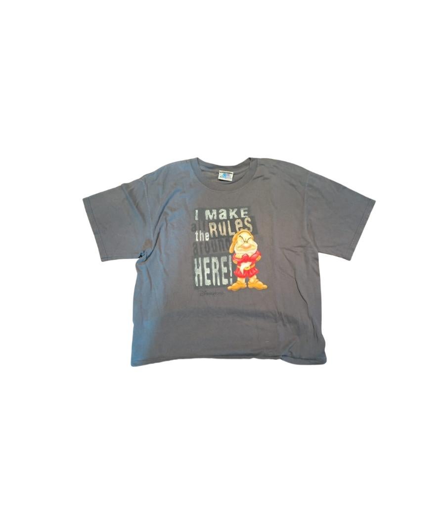 vintage y2k disneyland grumpy cropped shirt Large, Maat 52/54 (L), Disney, Ophalen of Verzenden, Disney