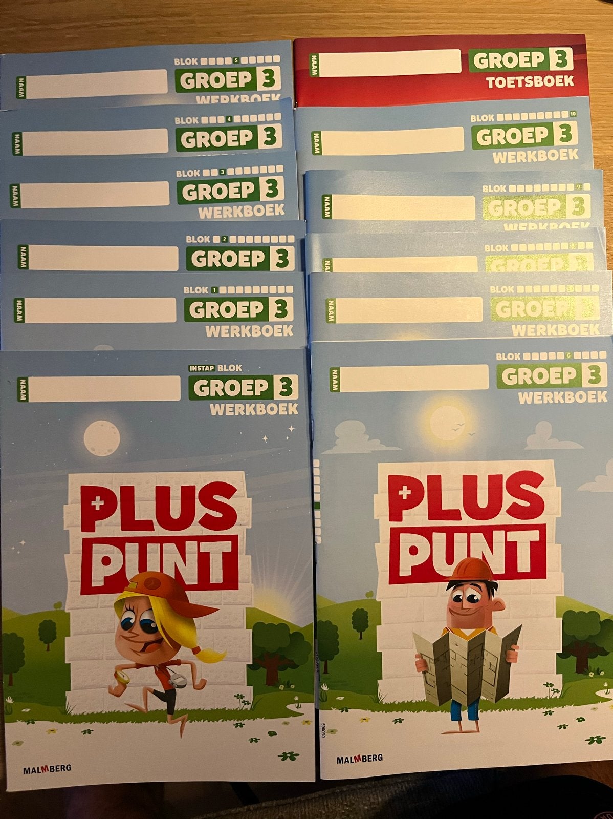 Rekenen Pluspunt Groep 3 Nieuw! Werkboeken & Toetsboek, Boeken, Ophalen of Verzenden, Nieuw, Overige niveaus, Overige vakken