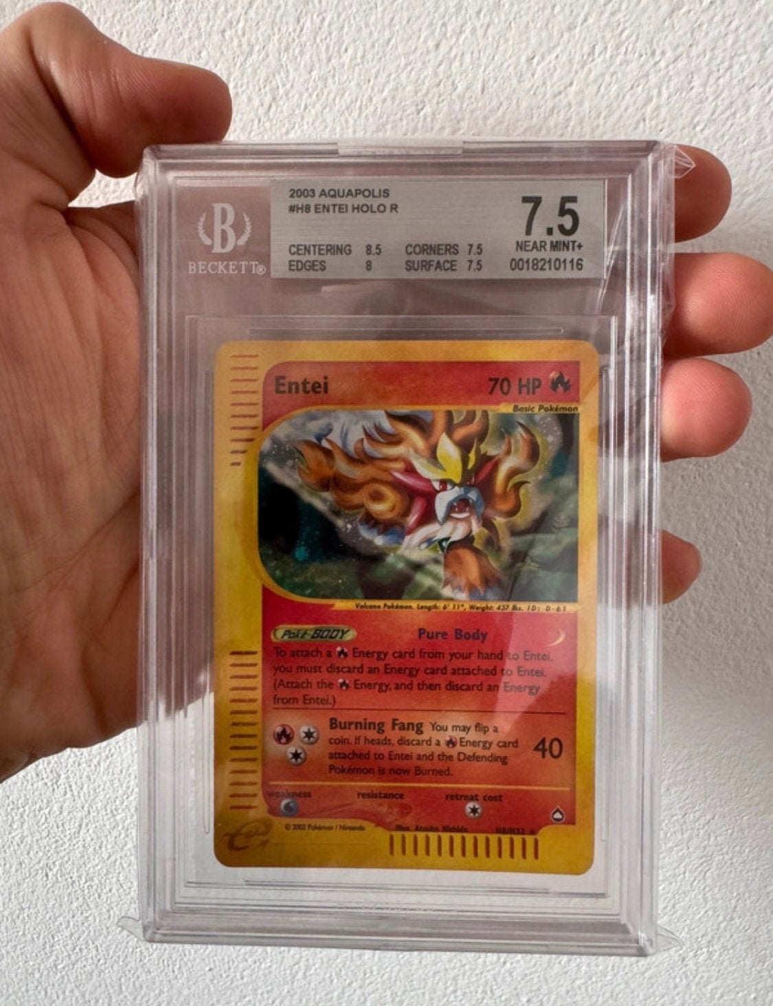 Entei H8 – Aquapolis Holo, Ophalen, Nieuw