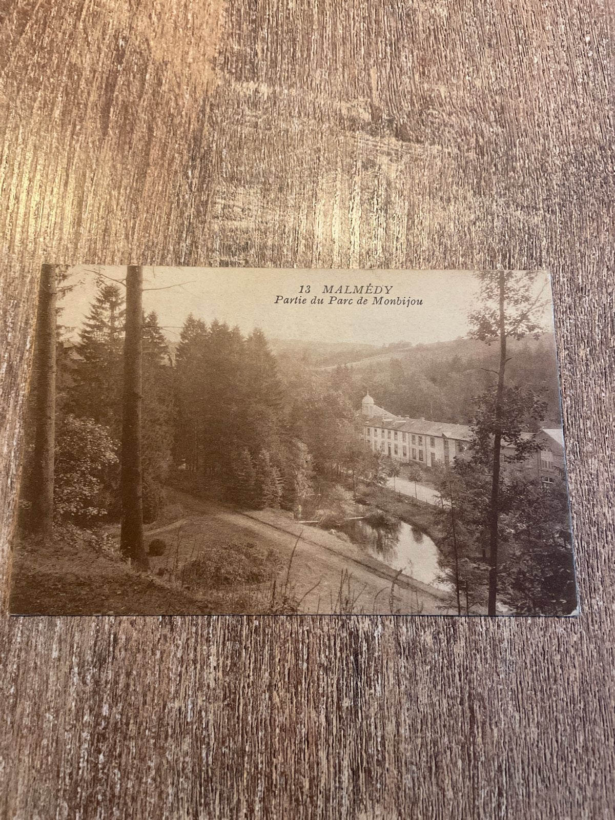 Oude Postkaart Malmédy, Partie du Parc de Montbijou, Ophalen of Verzenden, Ongelopen, Luik