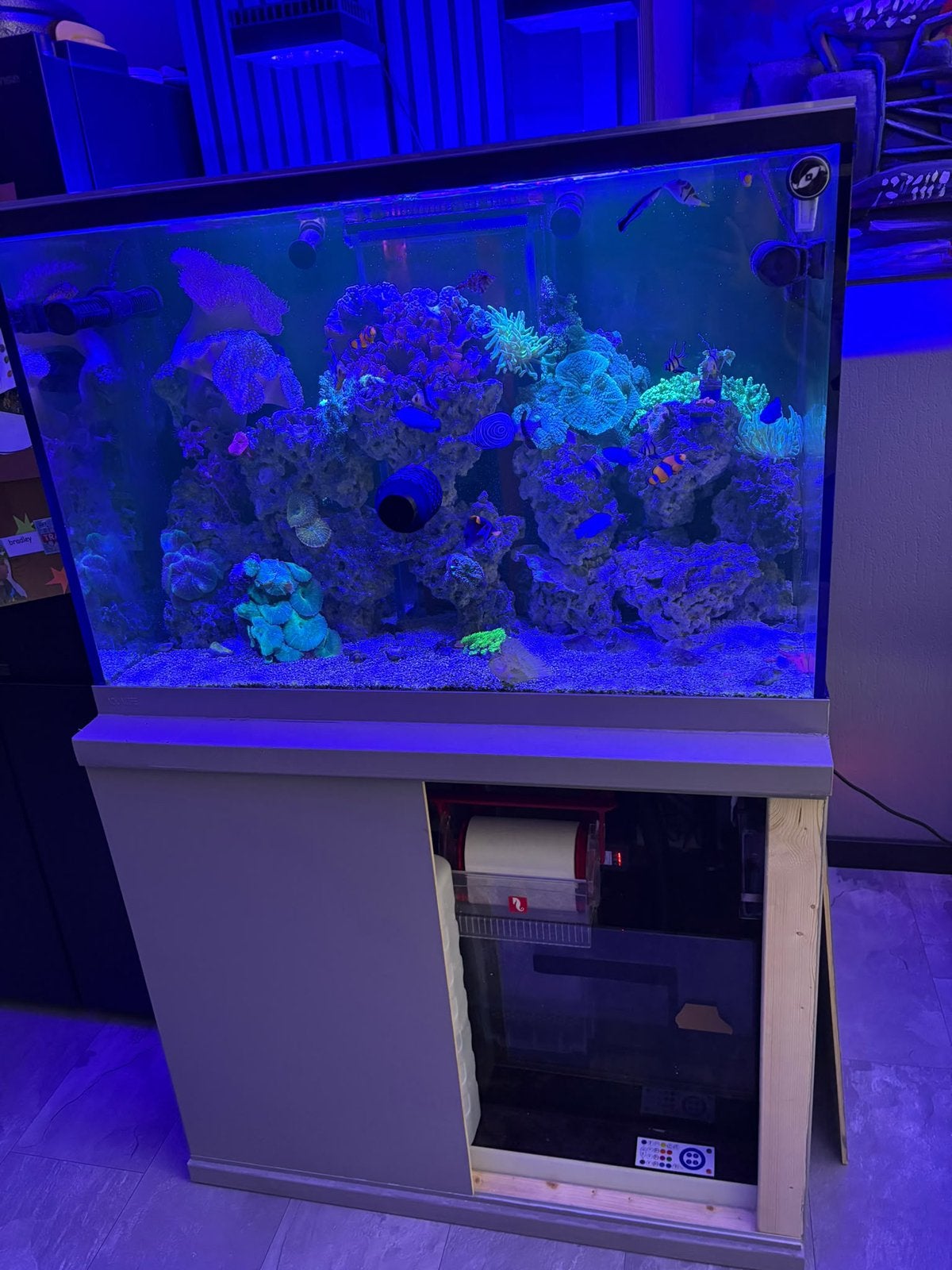Te koop 300l zeeaquarium aqualife, Ophalen, Gebruikt, Leeg aquarium