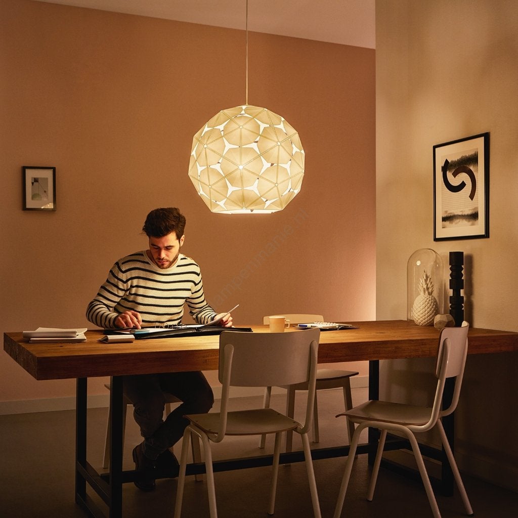 Philips myLiving hanglamp model Corkwood, Ophalen of Verzenden, Nieuw, Kunststof