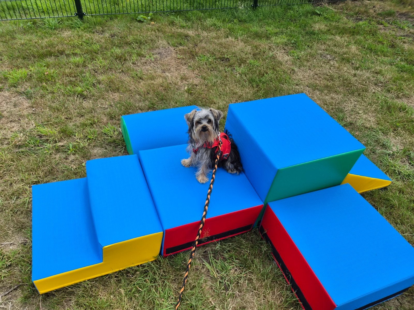 Puppy speeluurtje, Diensten en Vakmensen, Pension of Dagopvang