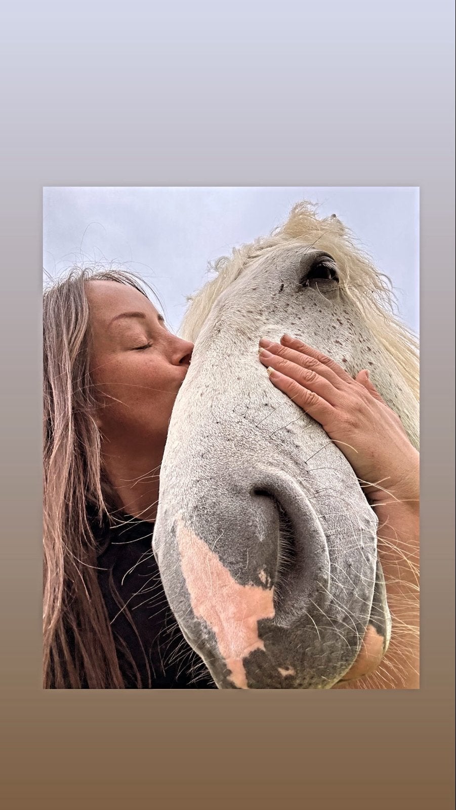 Gezocht! Paddock paradise / stalling, Dieren en Toebehoren, Stalling
