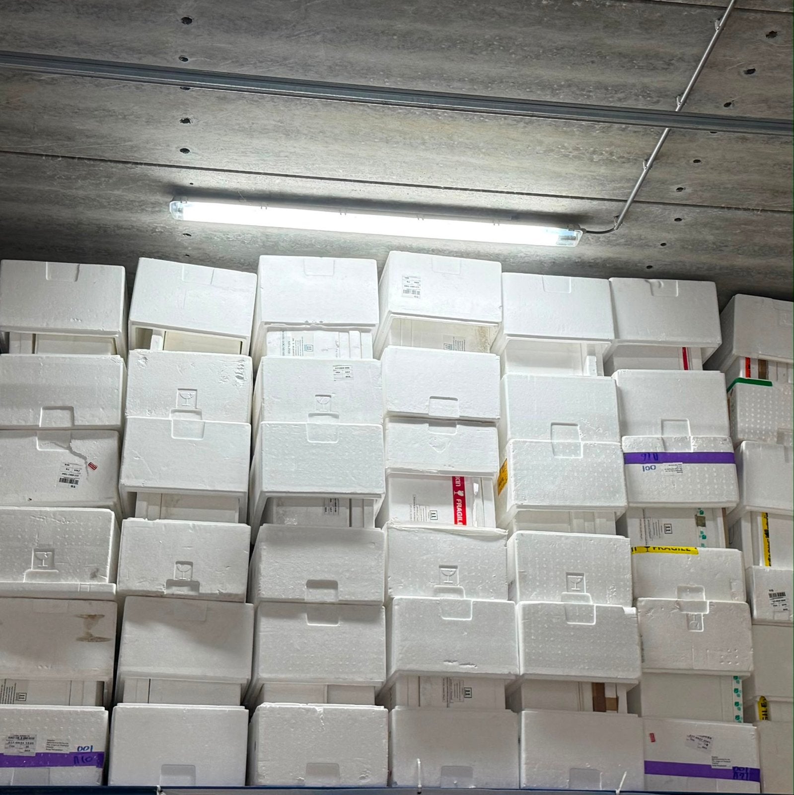 Isolatie Schuimdozen, Ophalen, 40 tot 60 cm, Minder dan 50 cm, 35 tot 50 cm