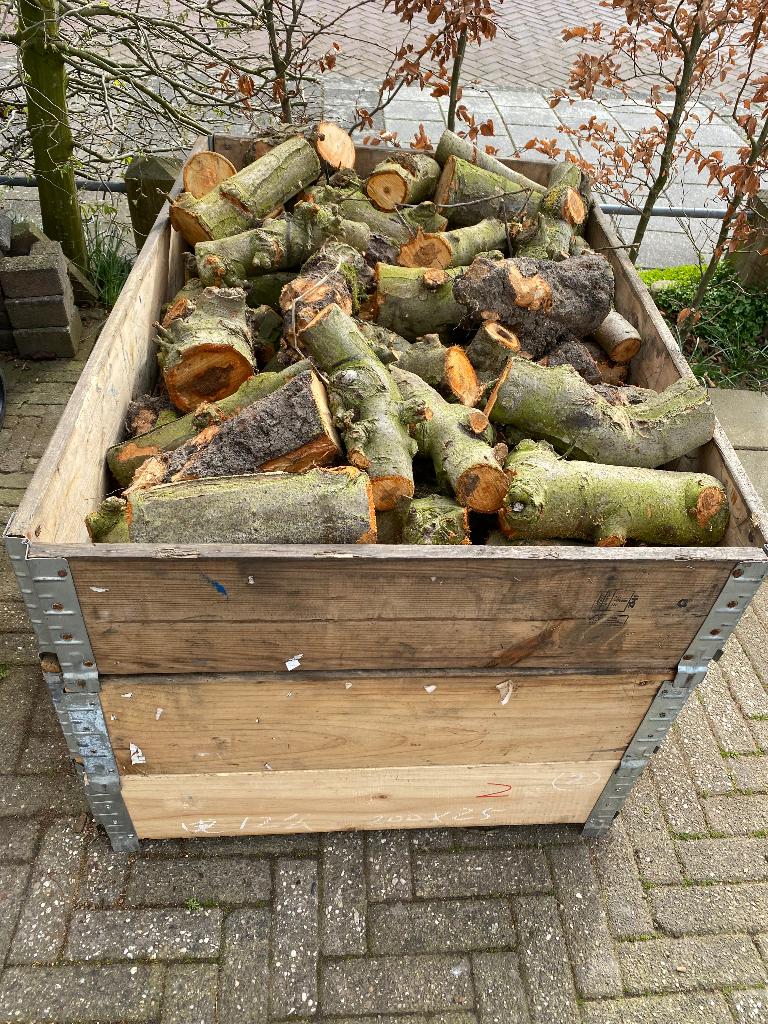 Openhaard hout appel, Minder dan 3 m³, Ophalen, Blokken