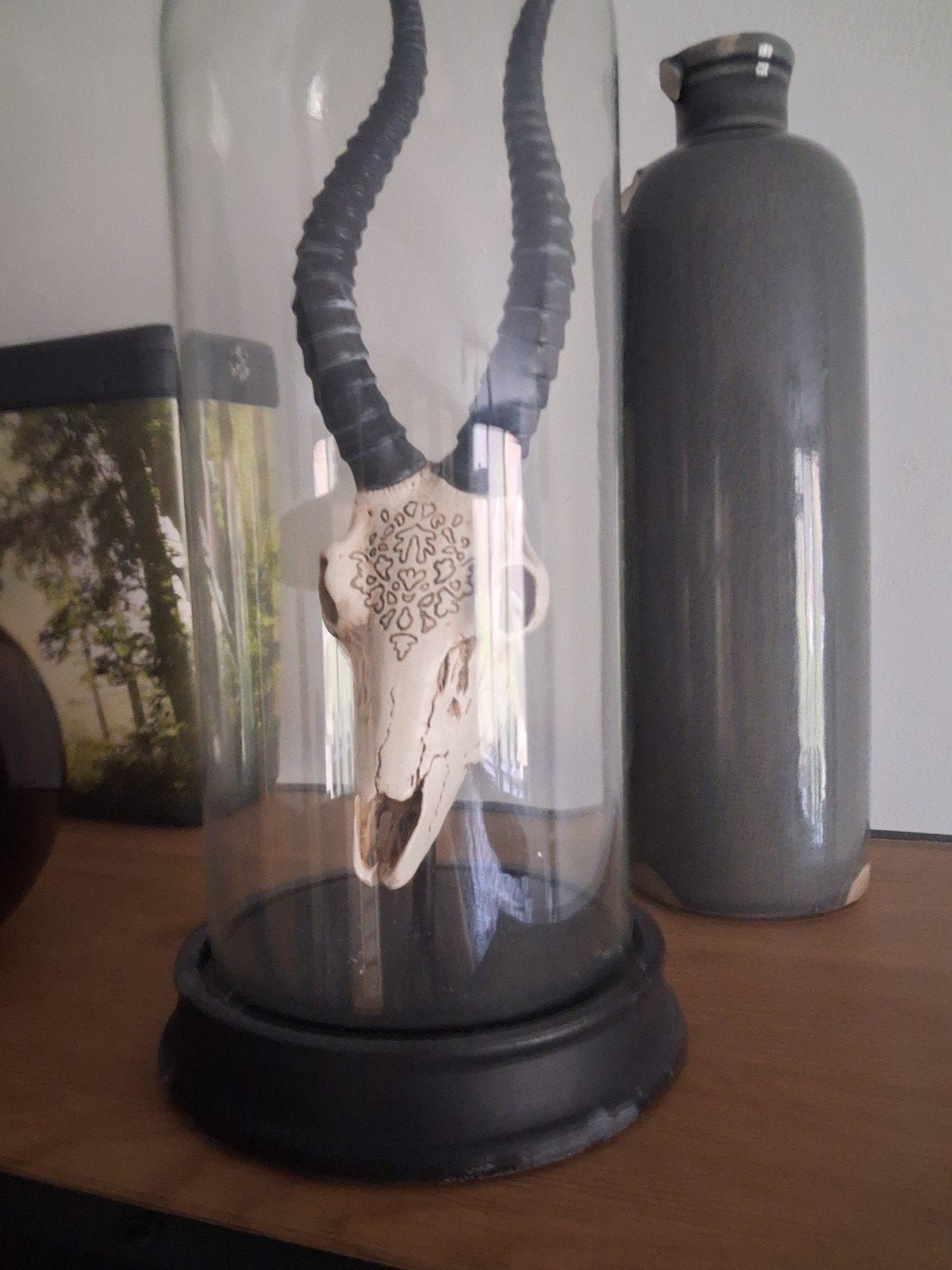 Decoratieve schedel met hoorns in glazen stolp, Vintage, Verzenden, Glas, Gebruikt