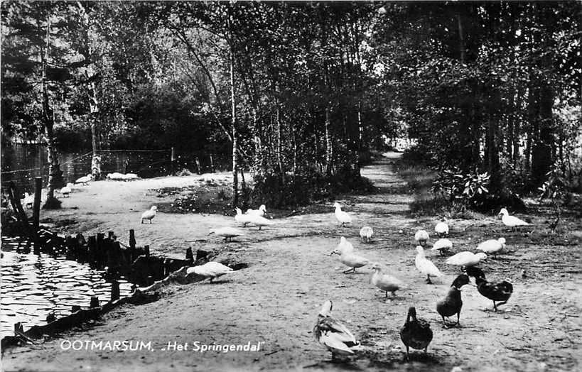 380-903-031 Ootmarsum Het Springendal, Verzenden, Voor 1920, Overijssel