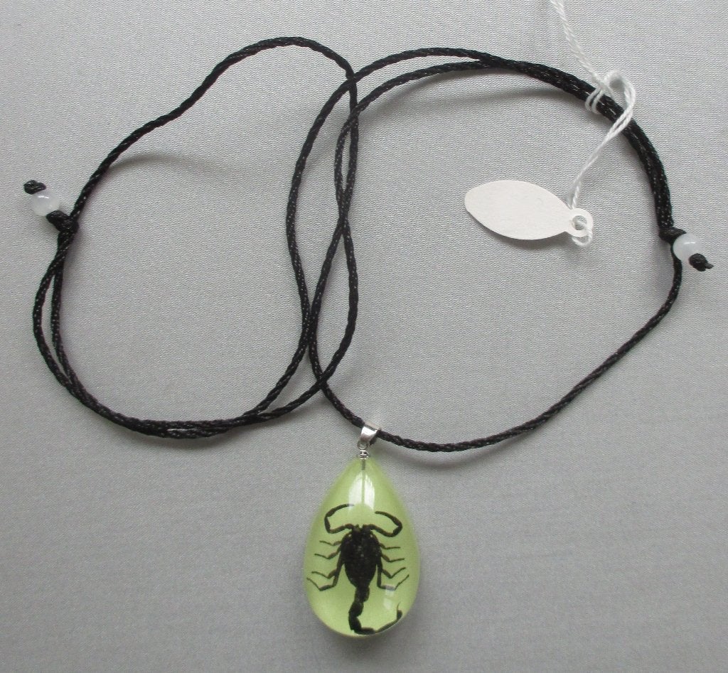 Halsketting Schorpioen Druppel Glow in the Dark. Goth Gothic, Ophalen of Verzenden, Nieuw, Overige materialen