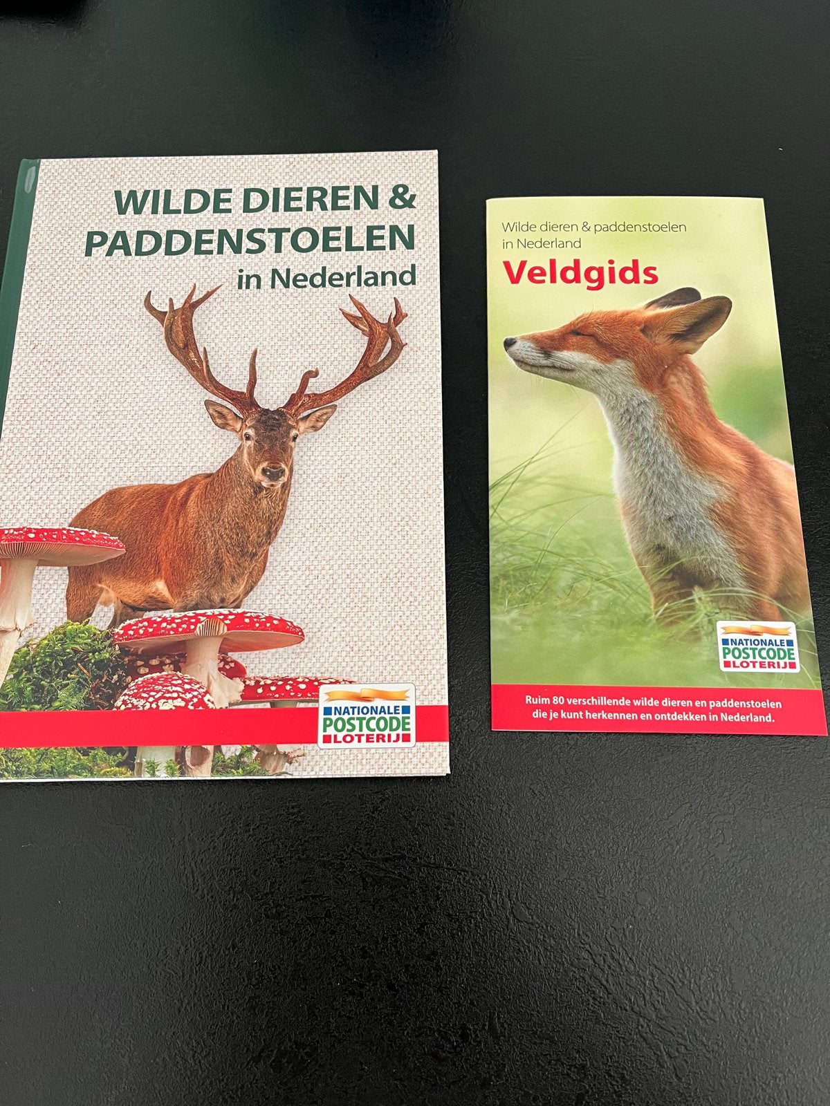 Wilde Dieren & Paddenstoelen in Nederland - Boek & Veldgids, Ophalen of Verzenden, Nieuw, Natuur algemeen