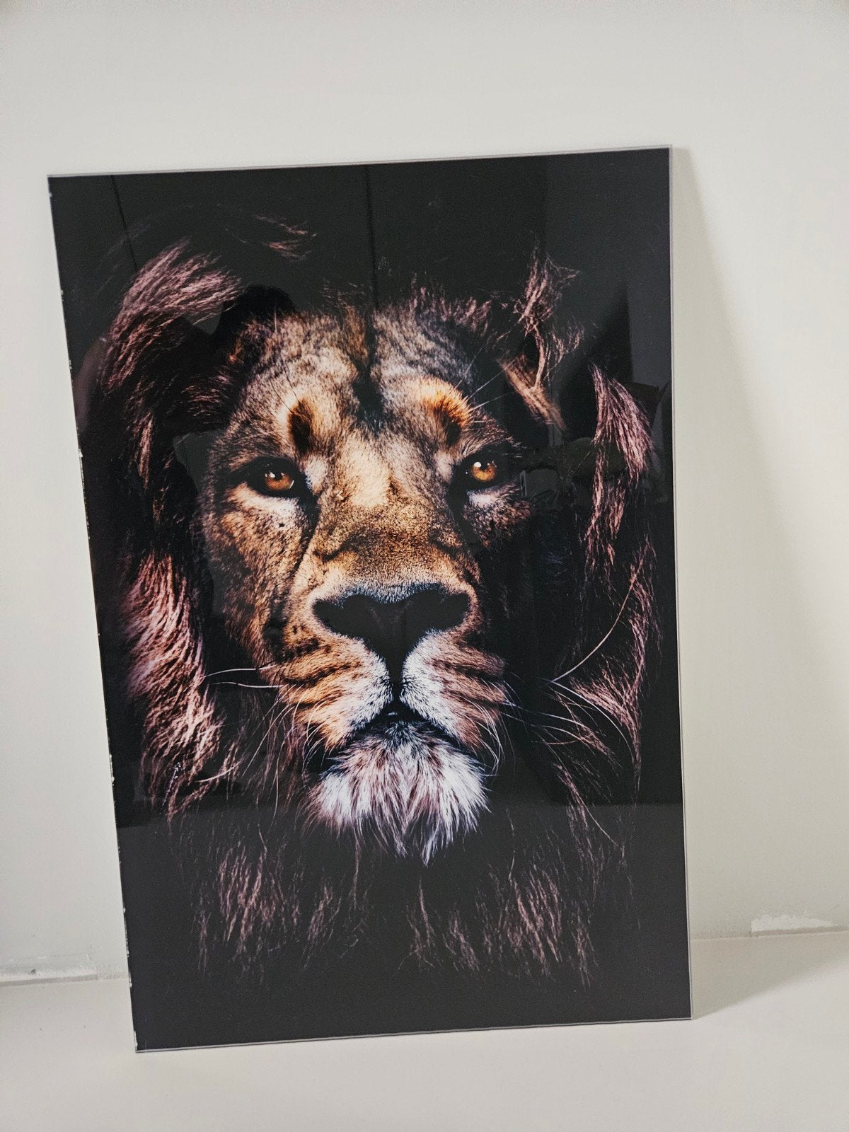Muurdecoratie Leeuw Gehard Glas 60x90 cm (Wallfield), Ophalen of Verzenden