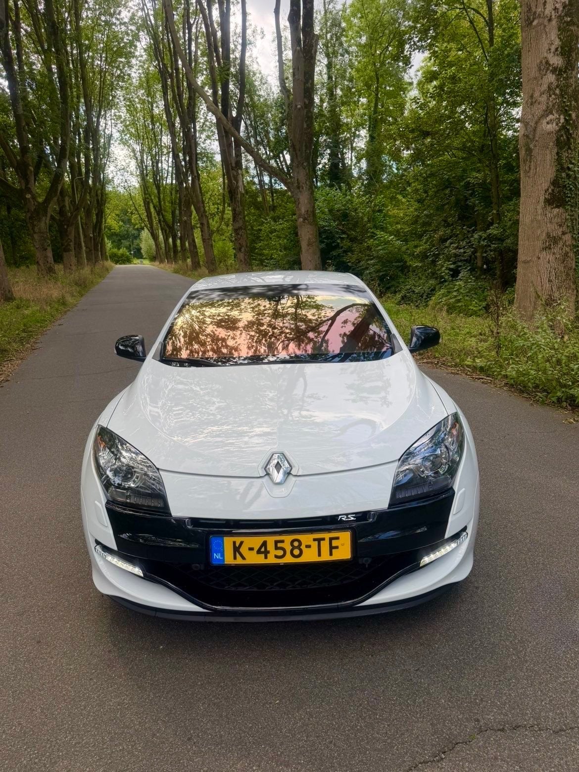 Foto 4 van Renault Mégane 3 RS 2.0 16V Turbo Coupe STAGE 2