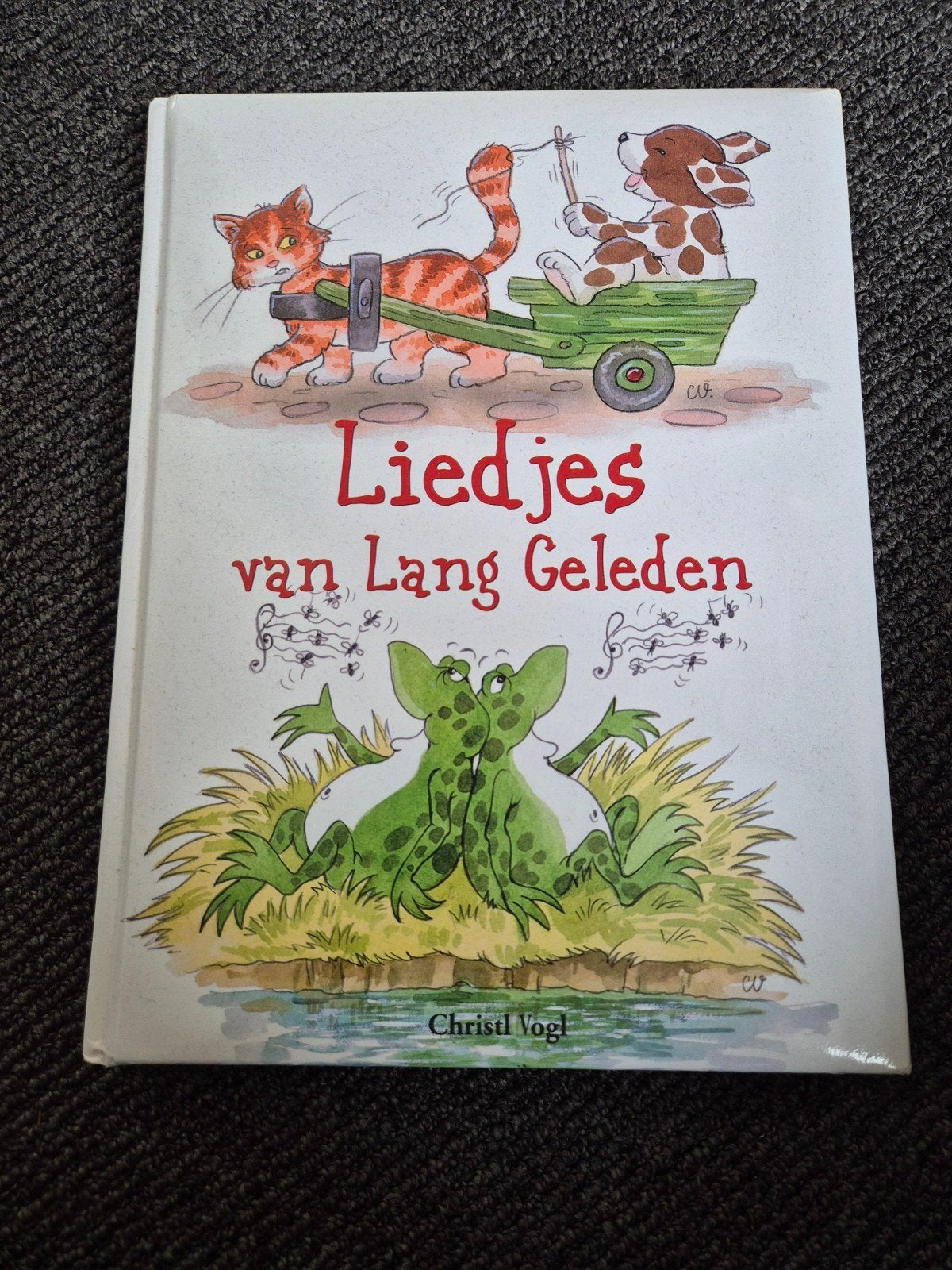 liedjes van lang geleden, Ophalen of Verzenden, Zo goed als nieuw, Non-fictie