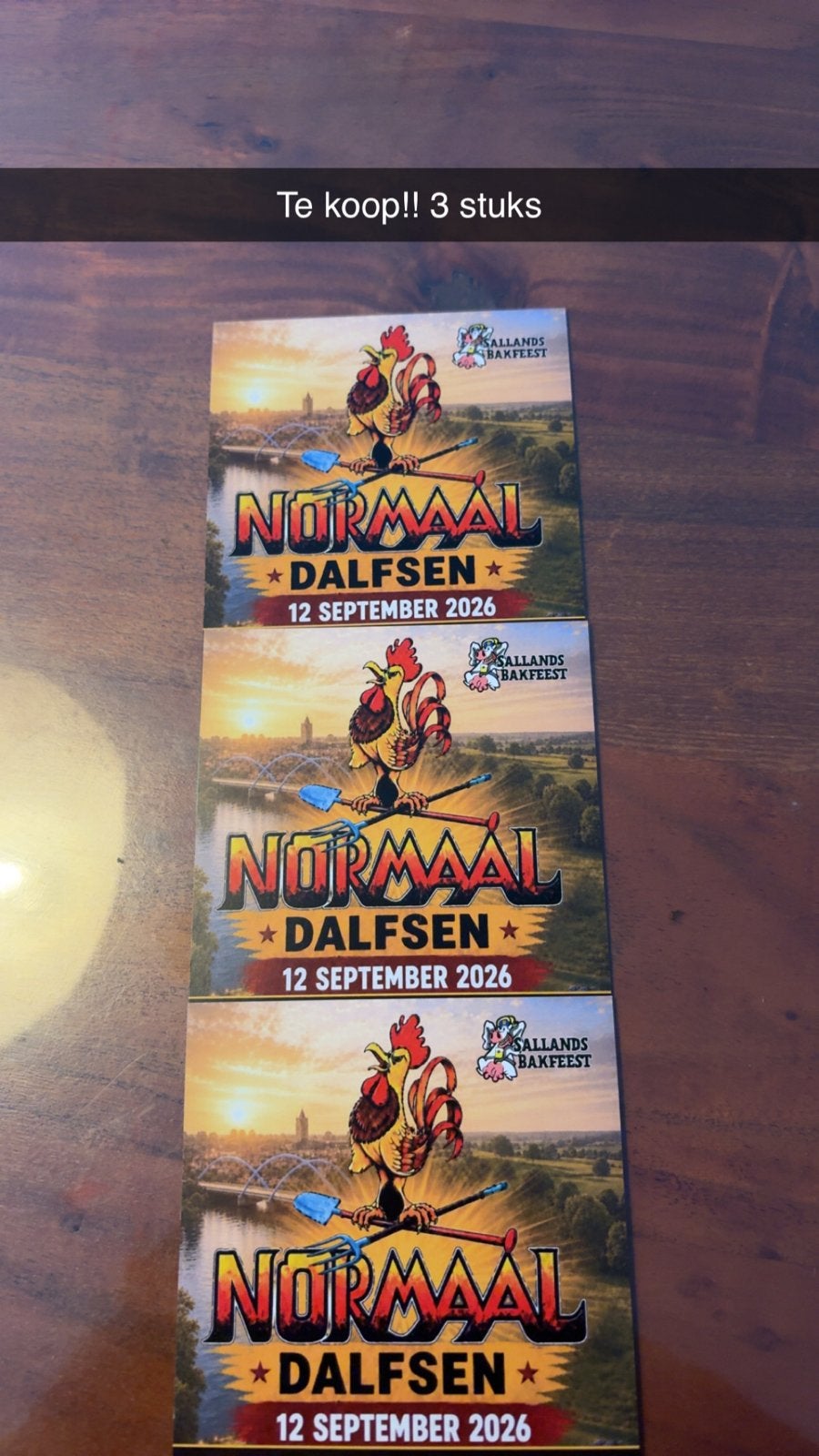 3 kaartjes voor Normaal Dalfsen op 12 sept 2026, Tickets en Kaartjes