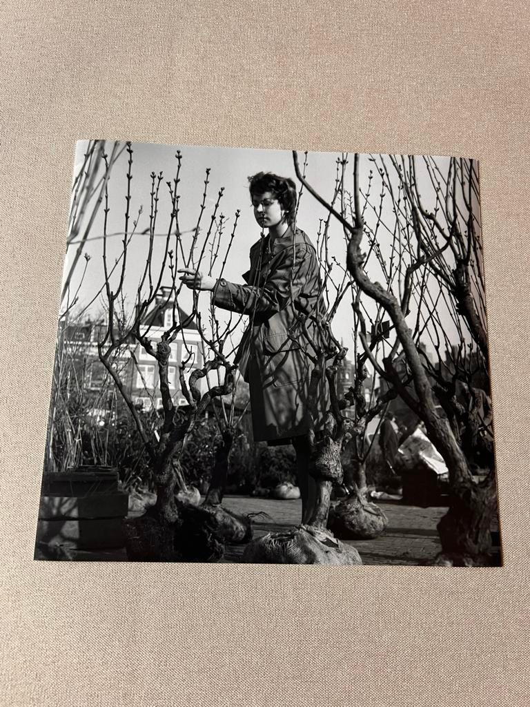 Lente op het amstelveld, 1961 | Amsterdamse vintage foto, Ophalen of Verzenden, Voor 1940, Zo goed als nieuw, Overige onderwerpen