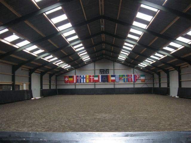 Pension stalling T&H stables heeft een box vrij (Sneek), Weidegang