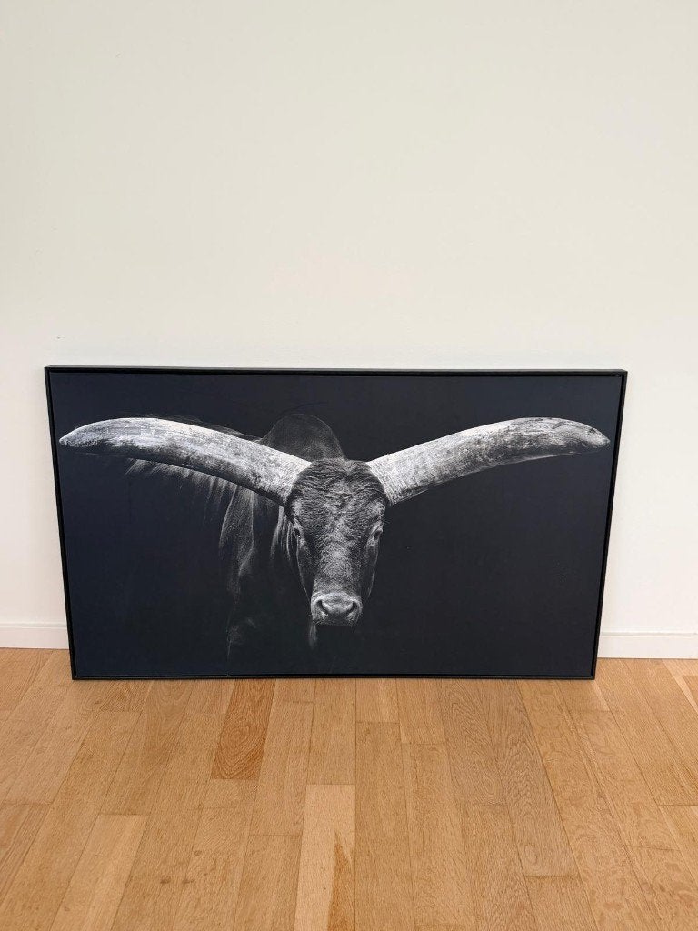 Zwart‑wit stier poster in lijst – 118x70 cm, Ophalen, Zo goed als nieuw, 50 tot 75 cm, Foto of Poster