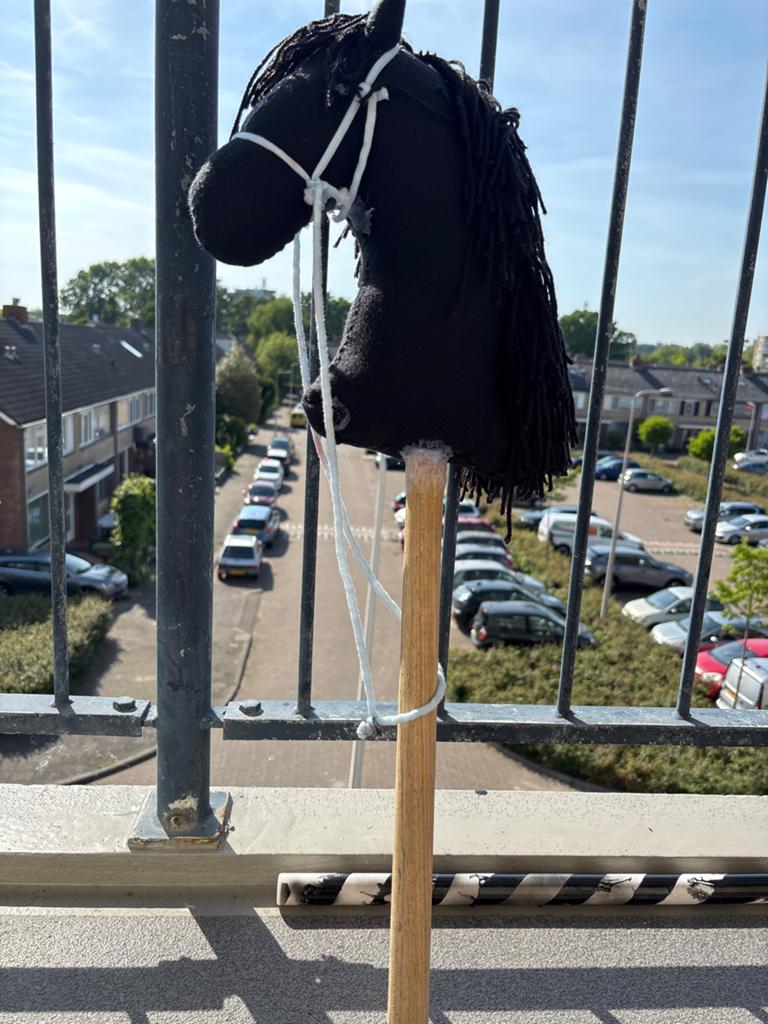 Zelfgemaakte Fries Hobby Horse - Handgemaakt Stokpaard, Ophalen of Verzenden, Zo goed als nieuw, Jongen of Meisje