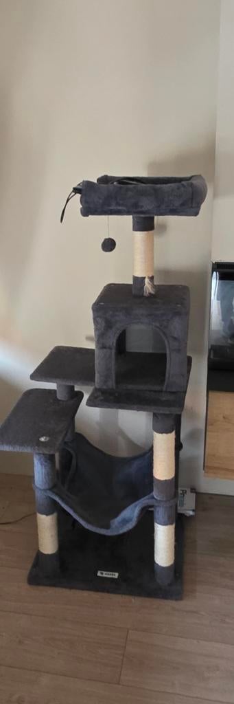 Krabpaal, Dieren en Toebehoren, Katten en Kittens | Overige Katten, Kater