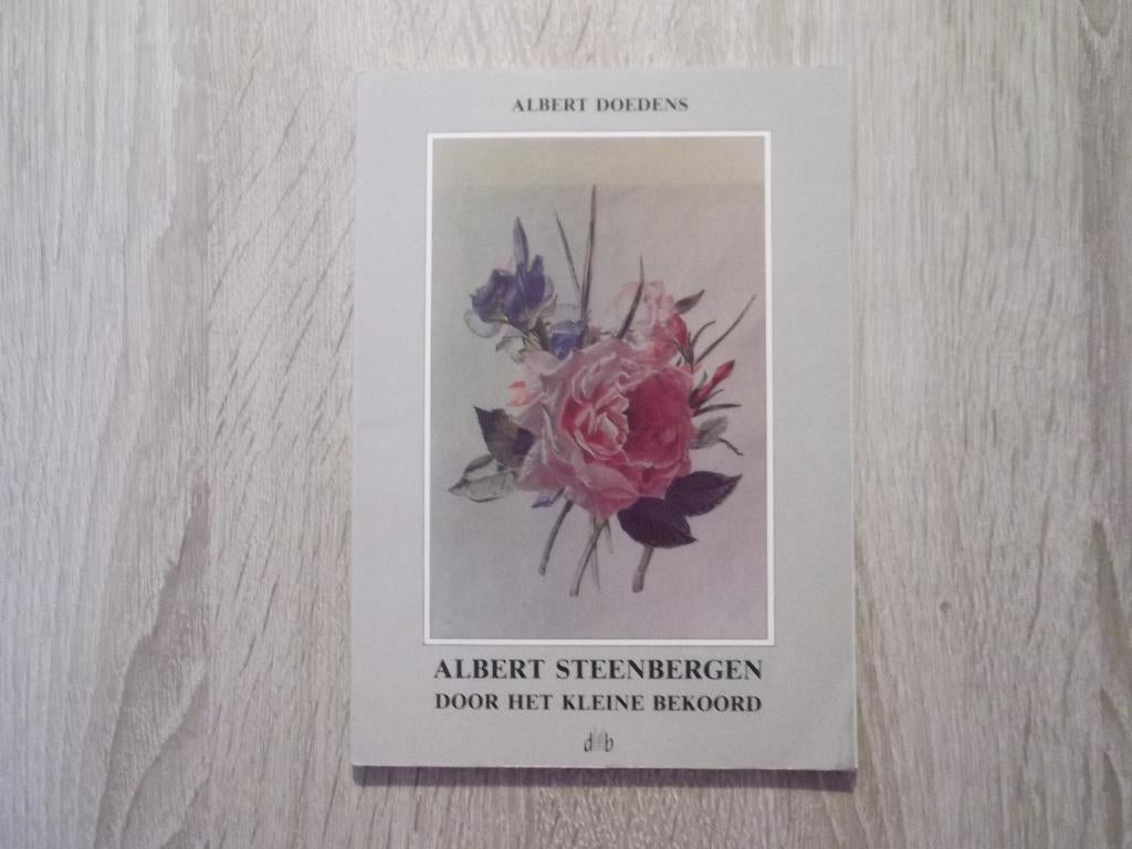 Albert Steenbergen. Door het kleine bekoord. Hoogeveen., Verzenden, Zo goed als nieuw, Zie beschrijving, Schilder- en Tekenkunst