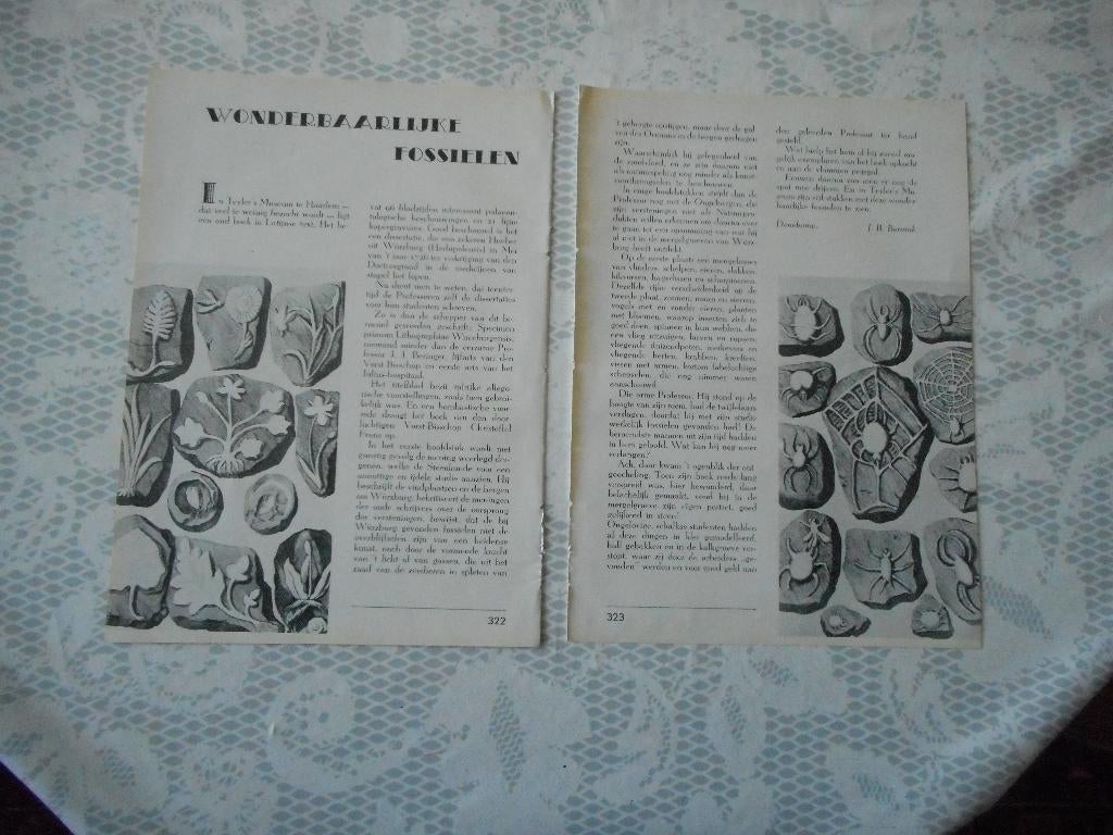 Wonderbaarlijke fossielen. 1939., Verzamelen, Tijdschriften, Kranten en Knipsels, Ophalen of Verzenden, 1920 tot 1940, Nederland