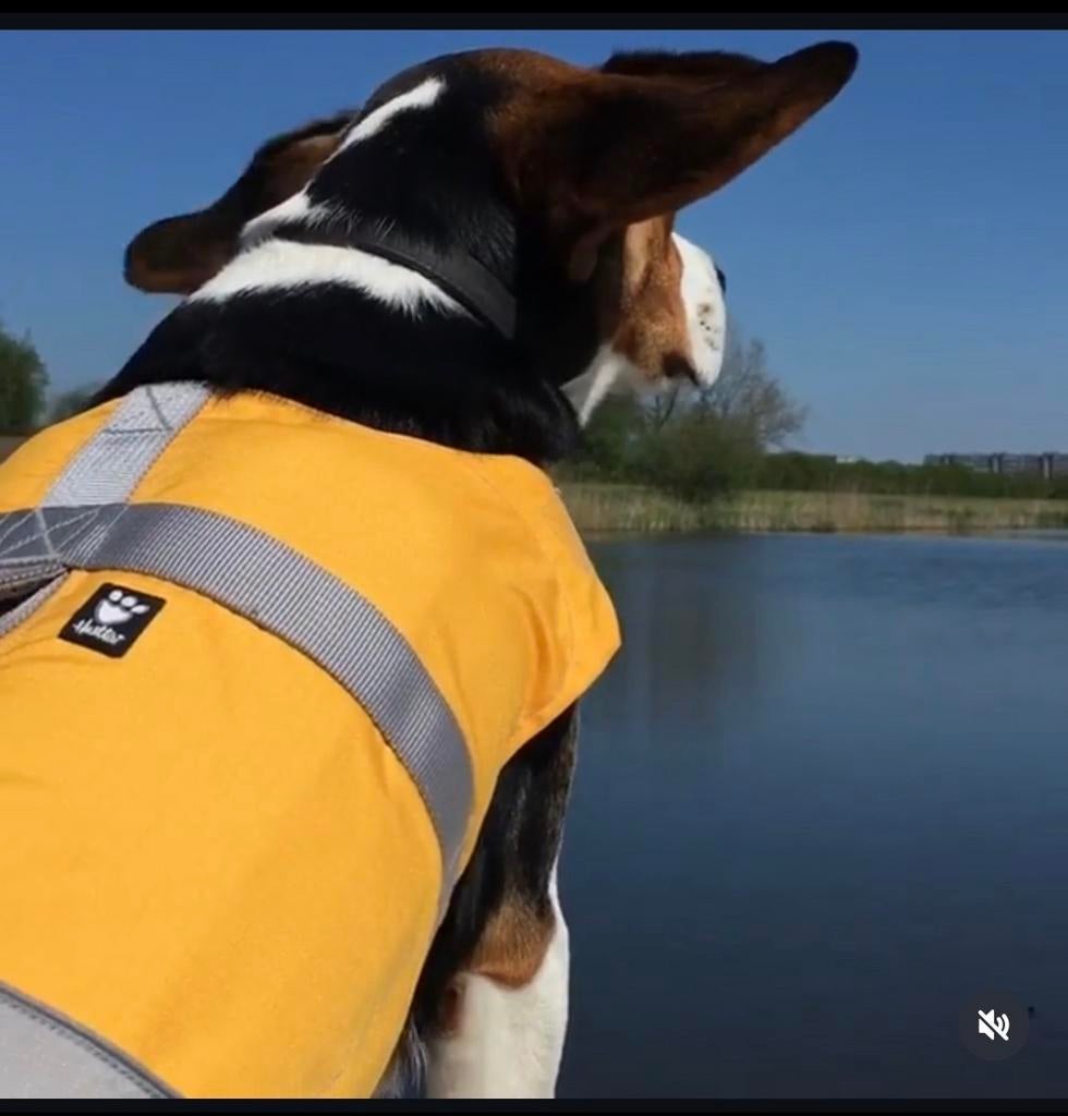 Hurtta reddingsvest Hond zgan, Ophalen of Verzenden, Zo goed als nieuw