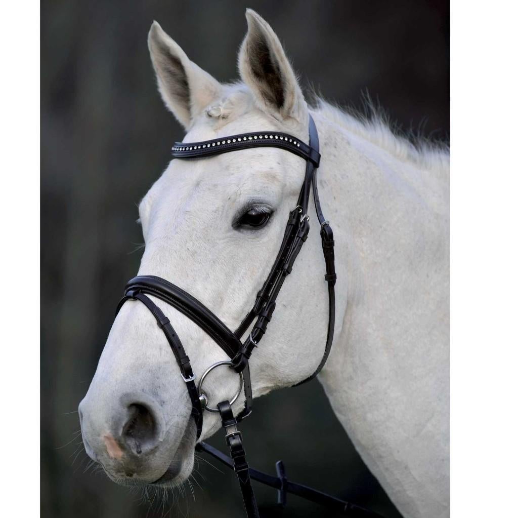 Nieuw Star hoofdstel Silverstar maat Pony, ., Ophalen of Verzenden, ., .