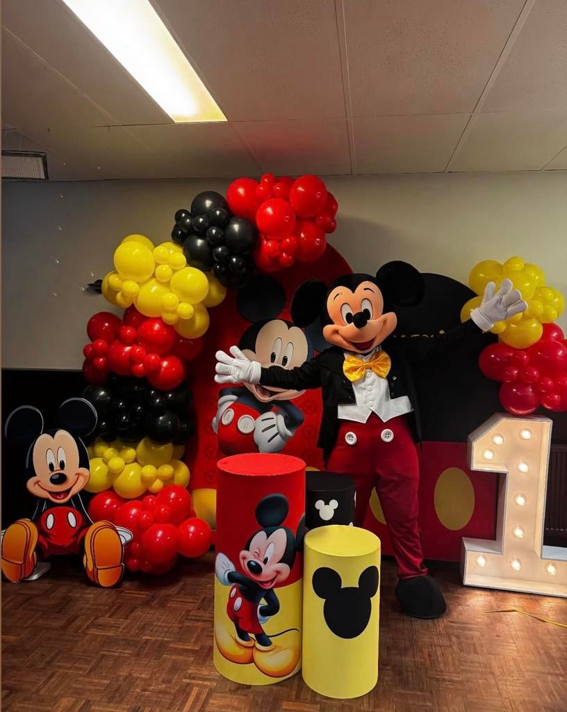 MICKEY MOUSE mascotte te boek ‼️, Ophalen, Verjaardag