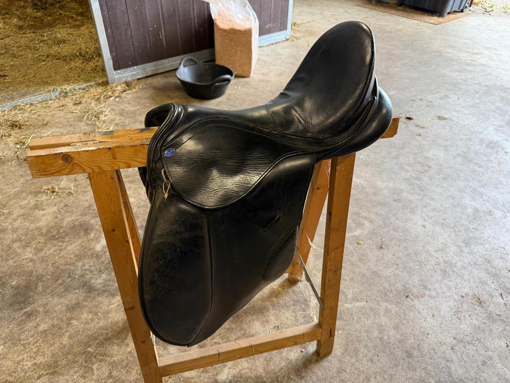 Chamberlinn glasgow zadel 17 inch sprinzadel veelzijdigheid, Dieren en Toebehoren, Paarden en Pony's | Zadels, Ophalen of Verzenden