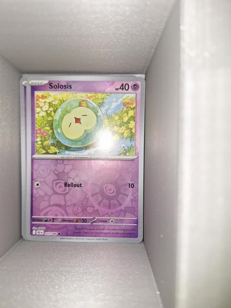 Solosis 037/086 Black Bolt Reverse Holo Pokémonkaart, Ophalen of Verzenden, Nieuw, Losse kaart