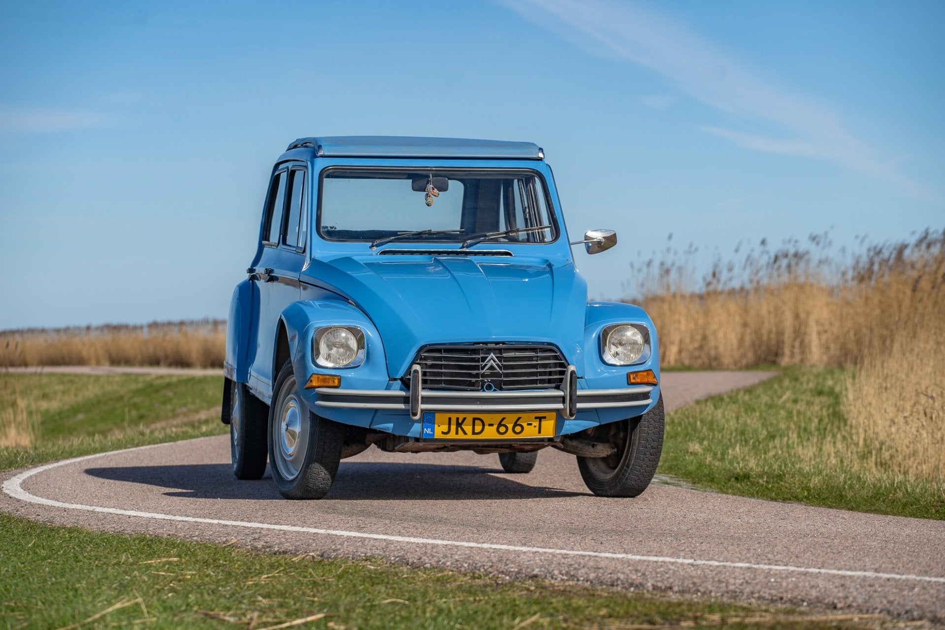 Citroen Dyane 6 Confort, Auto's, Voorwielaandrijving, Overige modellen, Blauw, 621 kg