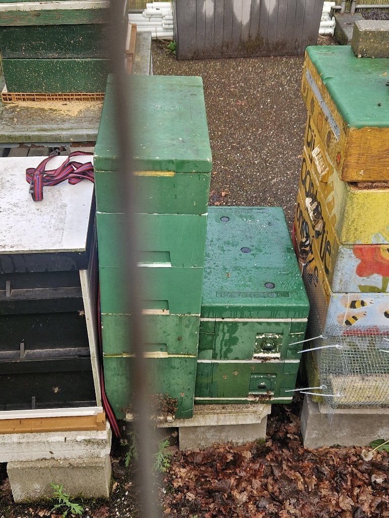 Aflegger bijen te koop., Dieren en Toebehoren, Insecten en Spinnen, Bijen