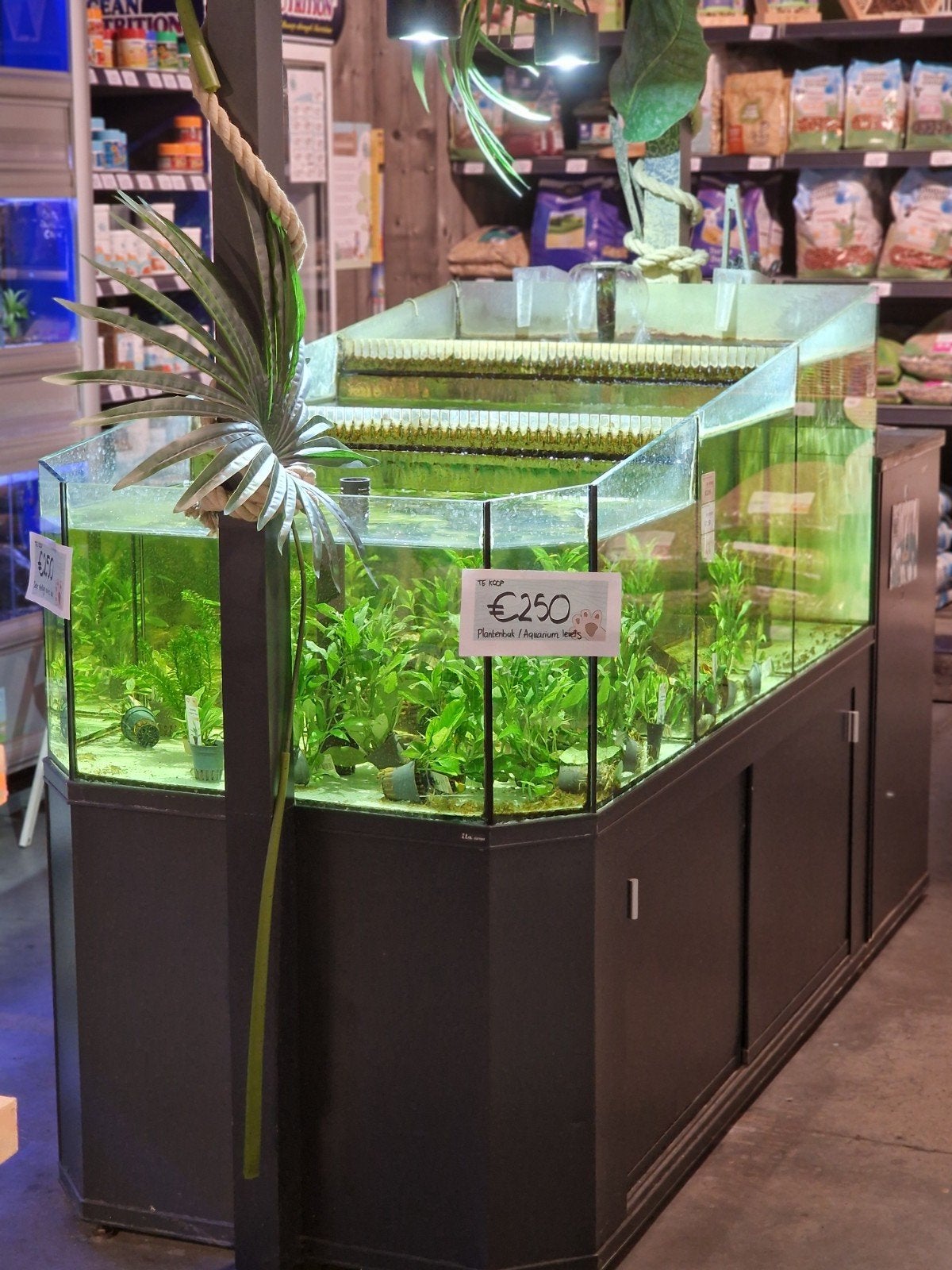 Waterval aquarium visbak plantenbak, Dieren en Toebehoren, Ophalen, Inclusief toebehoren, Gebruikt, Leeg aquarium