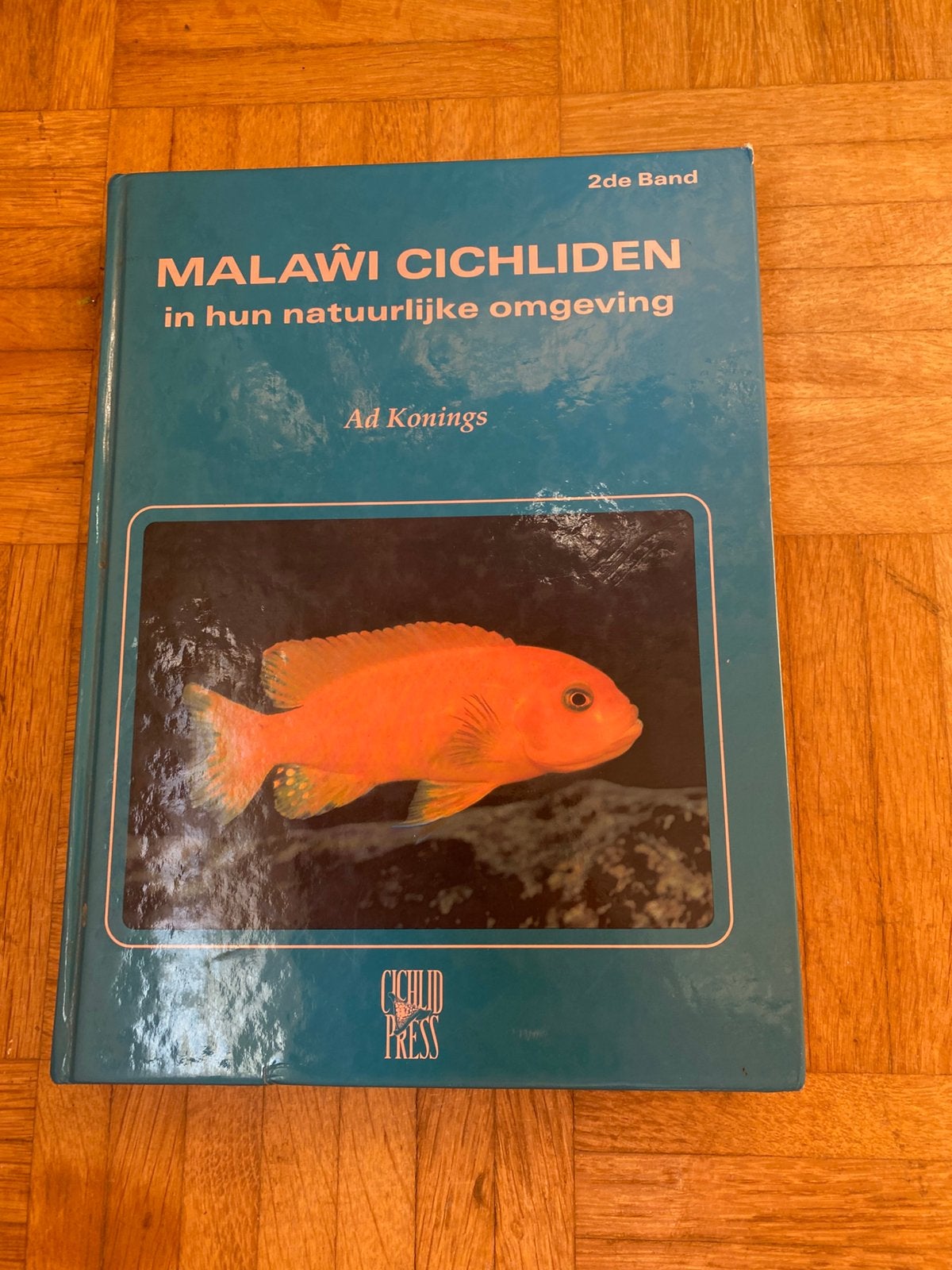 Ad Konings - Malawi Cichliden, Ophalen of Verzenden, Overige typen